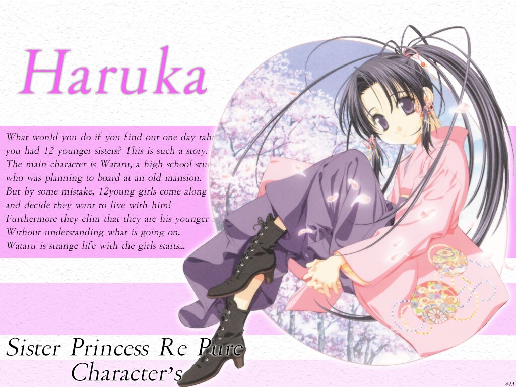 RePureDVD_Haruka_1024-768