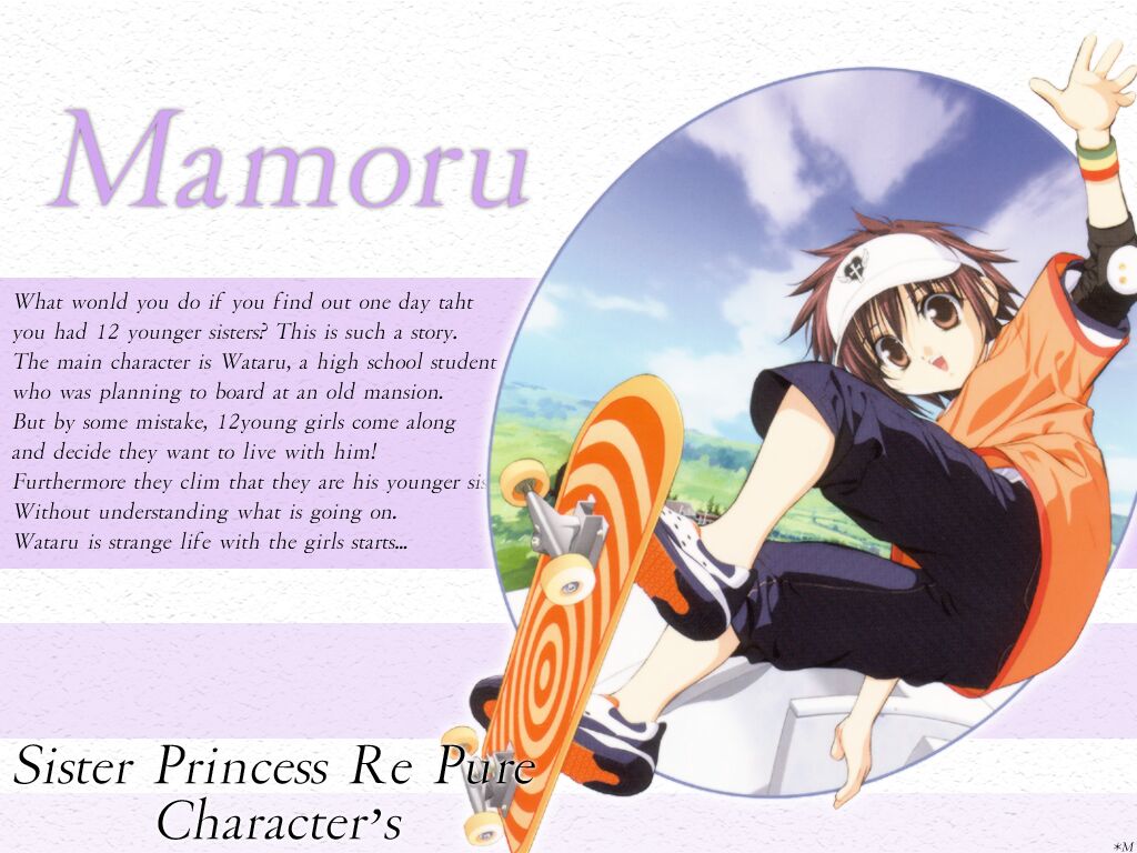 RePureDVD_Mamoru_1024-768